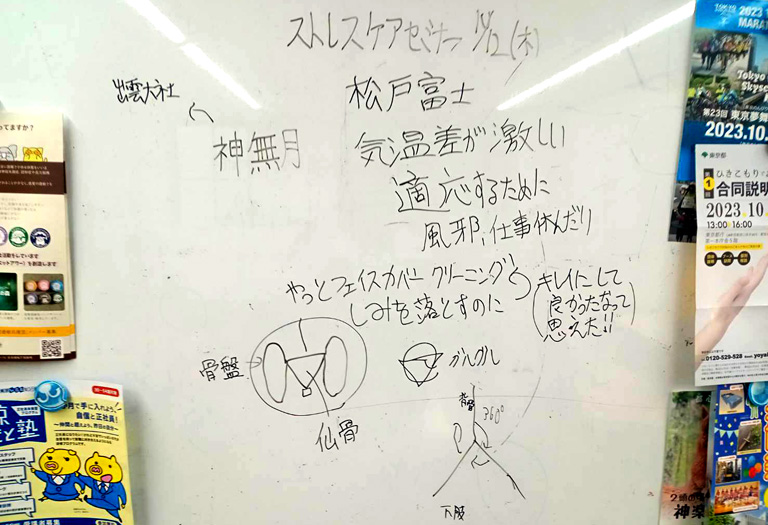 【セミナー参加後記】仙骨のアプローチで自律神経を整えよう！
